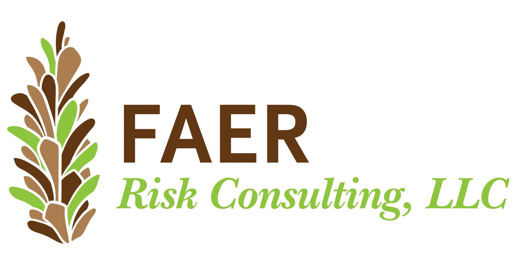 Faer Risk Consulting, LLC